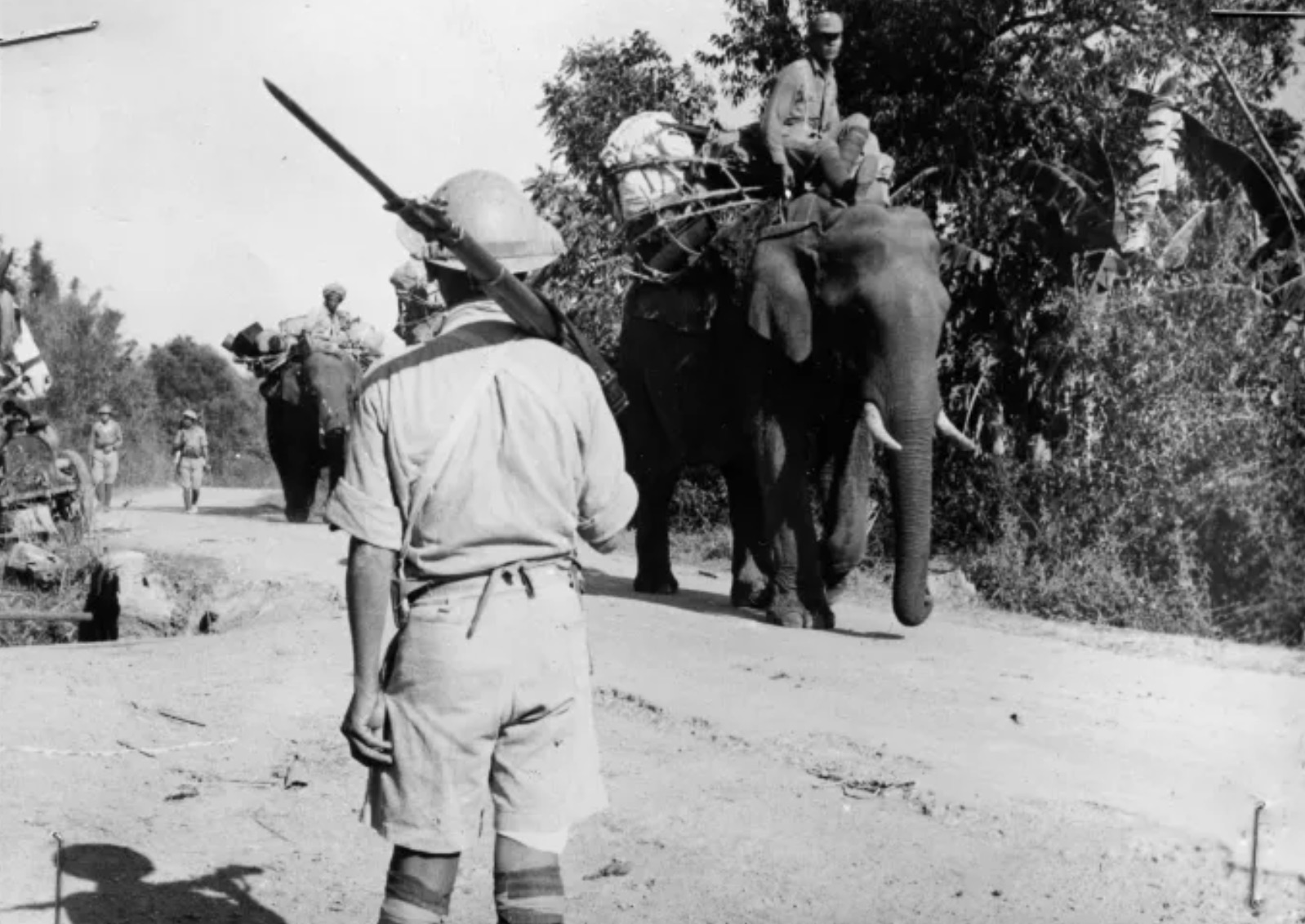 Chinese Troops in Burma riding an elephant. 